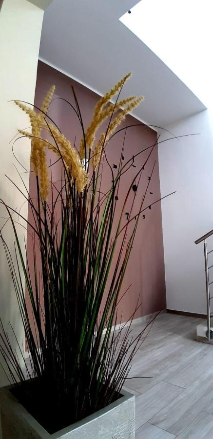 B&B Filieri Santa Maria al Bagno Exteriör bild